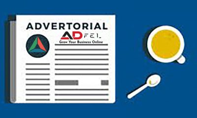 articole SEO ADfel Digital Marketing