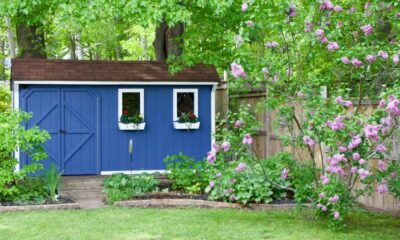 sopran deblocari usi